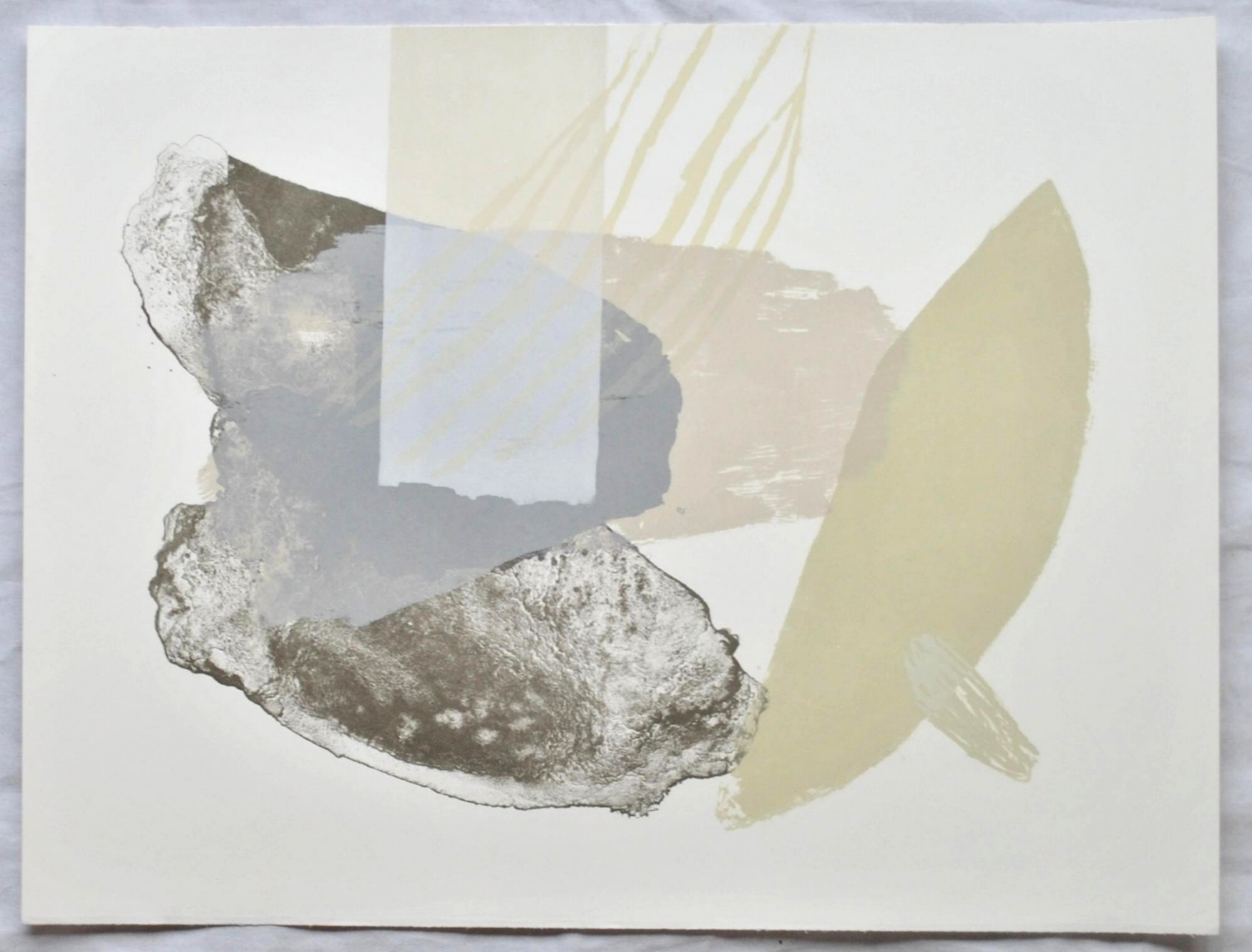 長谷川 友紀 / Yuki Hasegawa