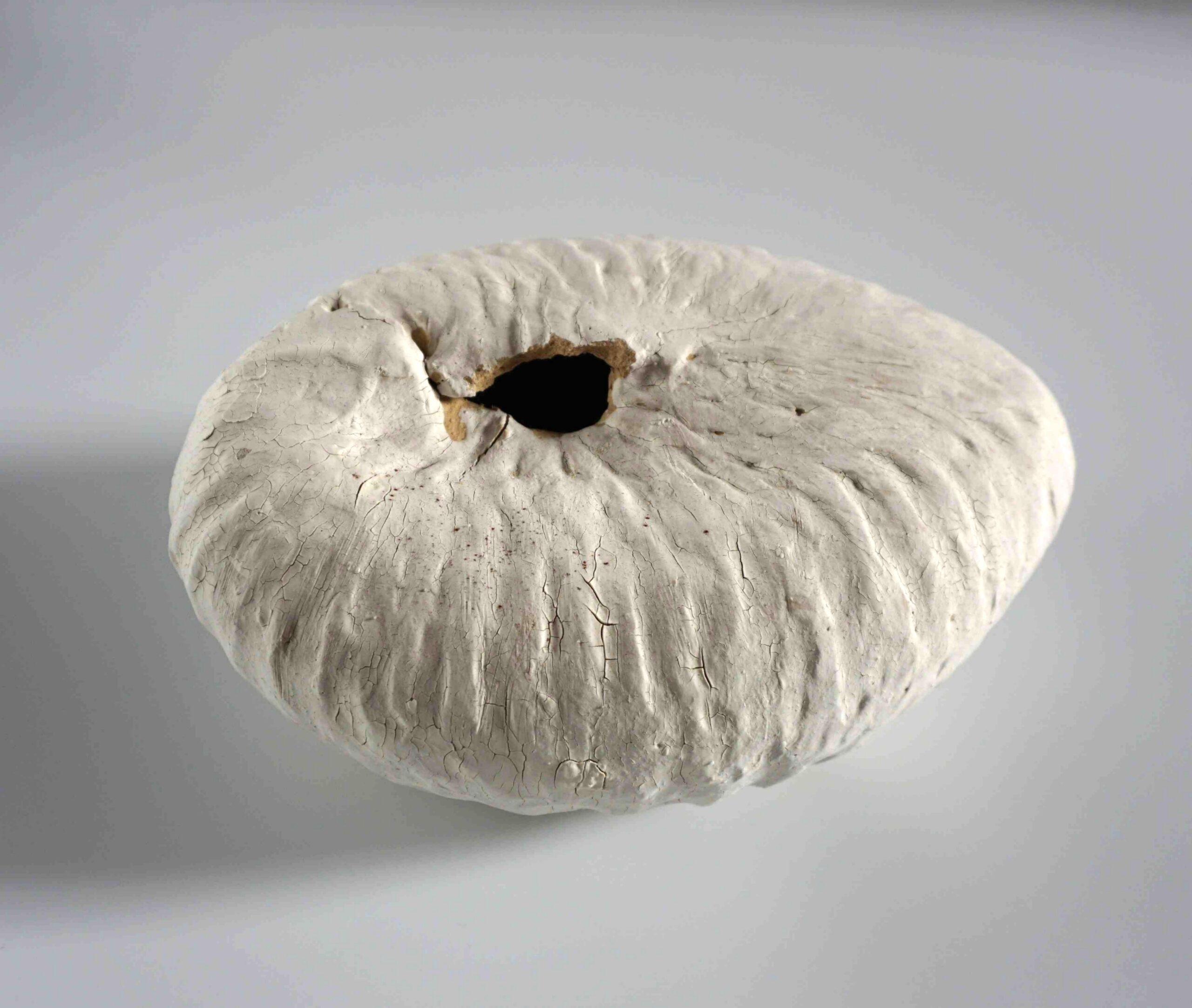 中村 知美/Tomomi Nakamura